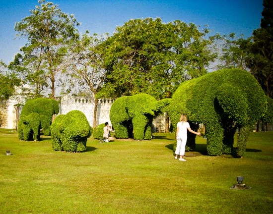 Bang Pa-In elephants