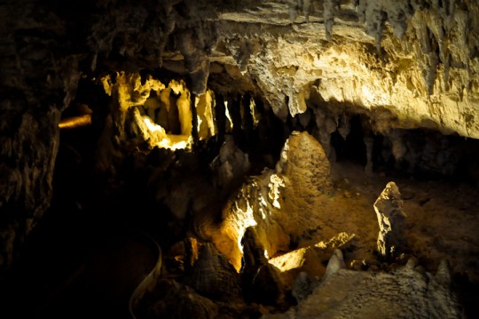 waitomo-cave-2
