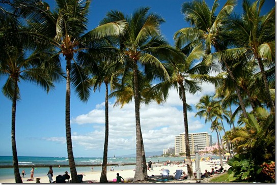 waikiki