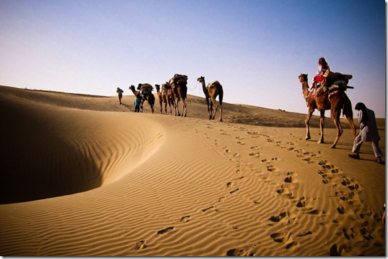 camel-safari-thar-desert-far