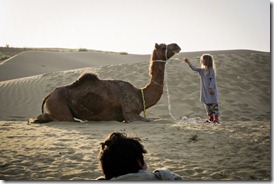 camel-safari-thar-desert-feed