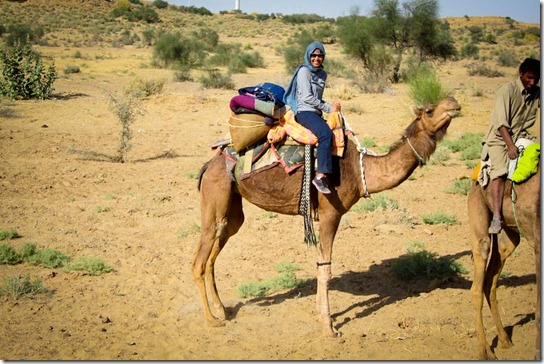 camel-safari-thar-desert-q