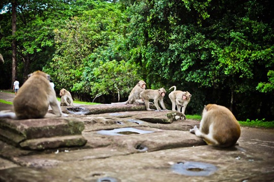 angkor-wat-2