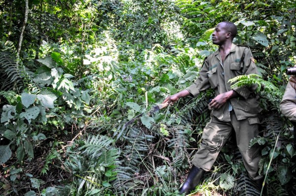 uganda gorilla tracker machete