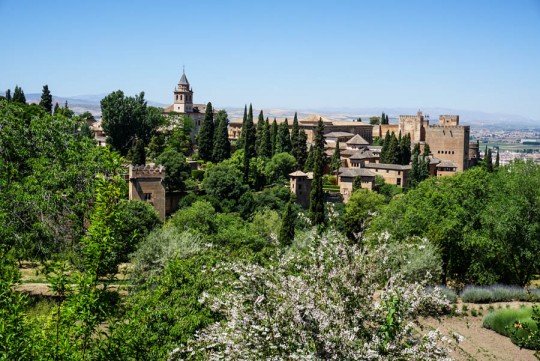 Granada essay 06 image