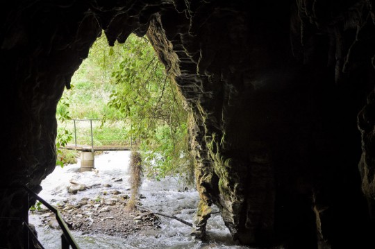 waitomo-cave