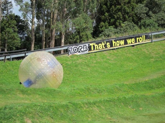 zorbing-rotorua