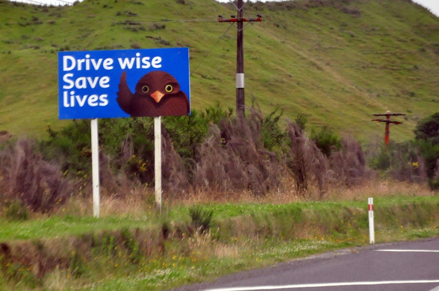 A wise drivers life. New Zealand Road sign. Wise привод. Funny Road. Drive Wise.